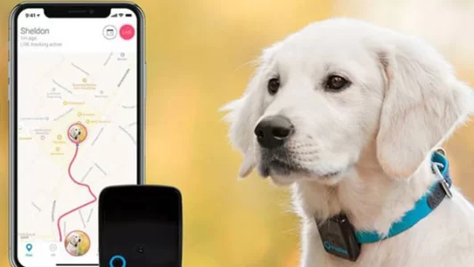 خرید جی پی اس حیوانات، جی پی اس حیوانات GK130