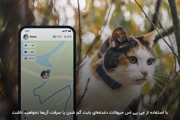استفاده از جی پی اس؛ راهکاری برای جلوگیری از سرقت حیوانات خانگی